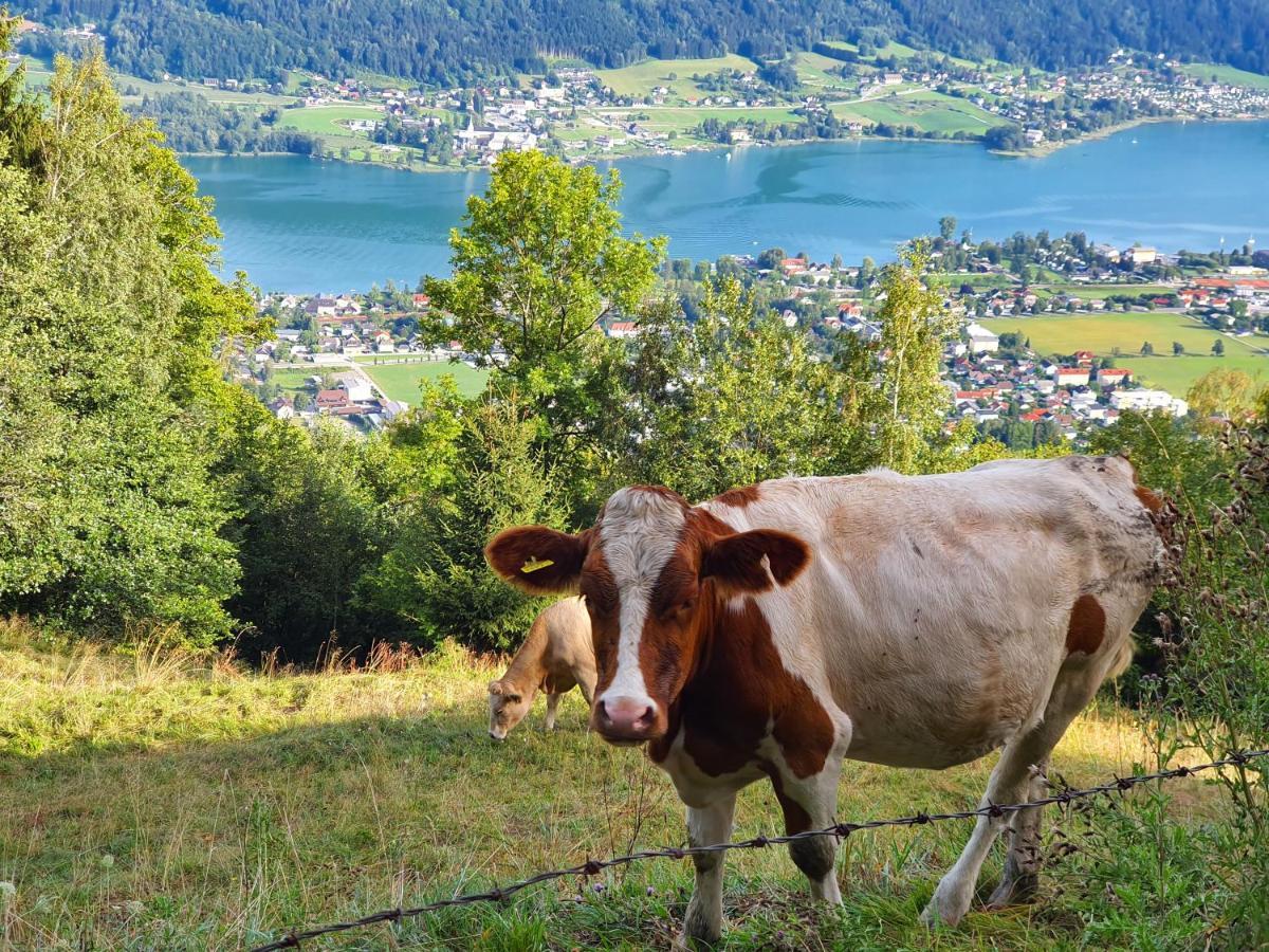 Kozma Apartments Peterlewand Gerlitzen Ossiachersee โบเดนสดอร์ฟ ภายนอก รูปภาพ